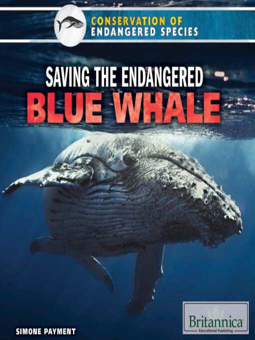 Cover image for Saving the Endangered Blue Whale